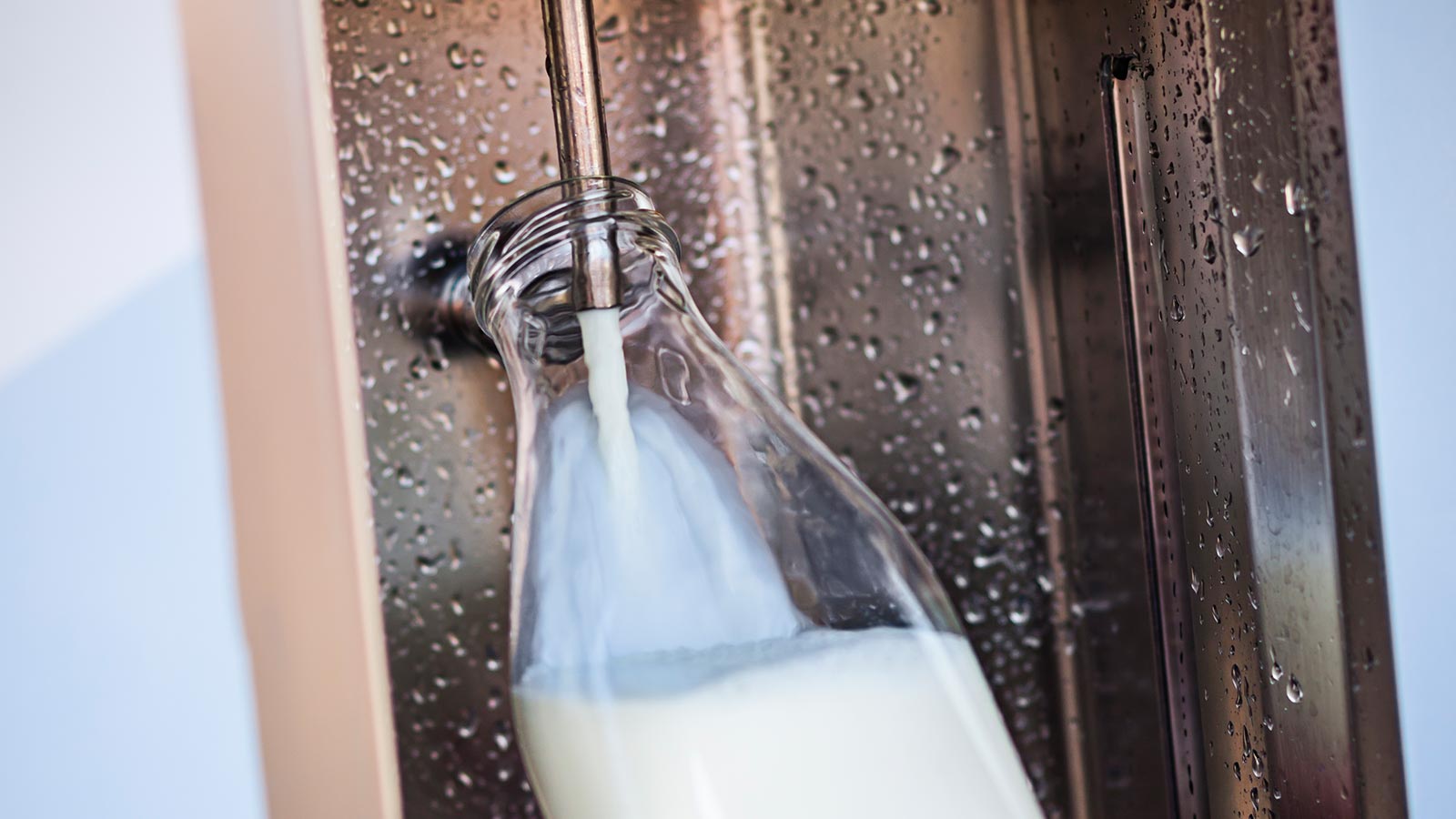 Leche directa sin intermediarios